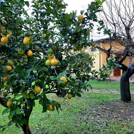 Podere Bedin Farm stay San Felice Circeo