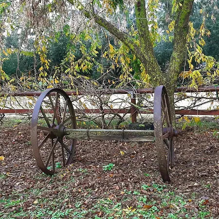 Farm stay Podere Bedin *