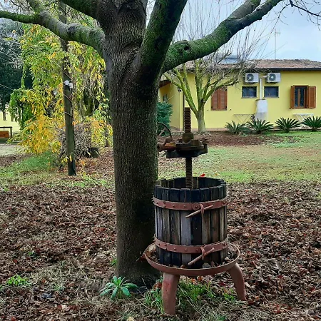 Podere Bedin * San Felice Circeo